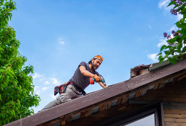 Best Metal Roofing Installation  in Essexville, MI